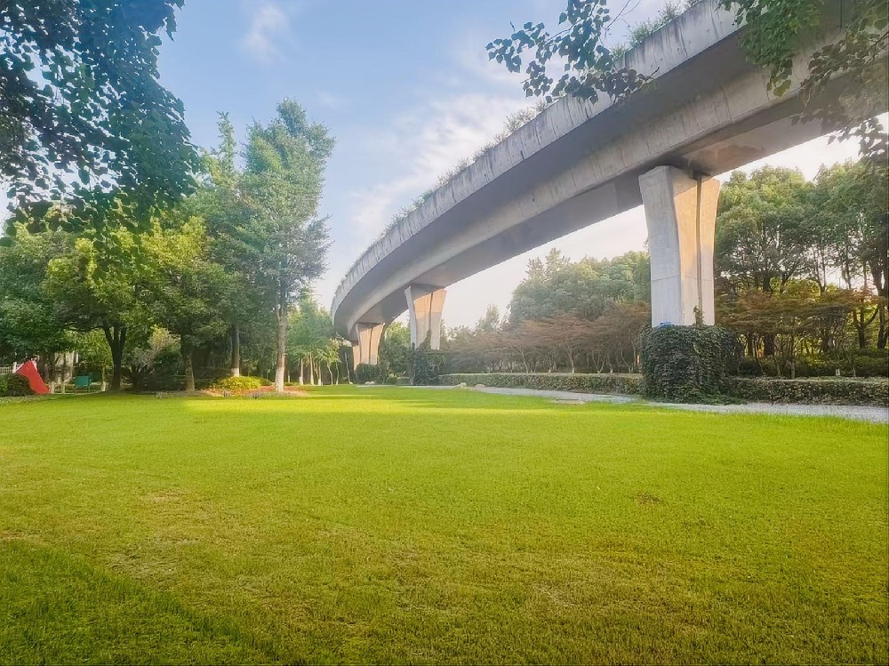 南通市园林绿化管理处2023年第3批绿地管护项目